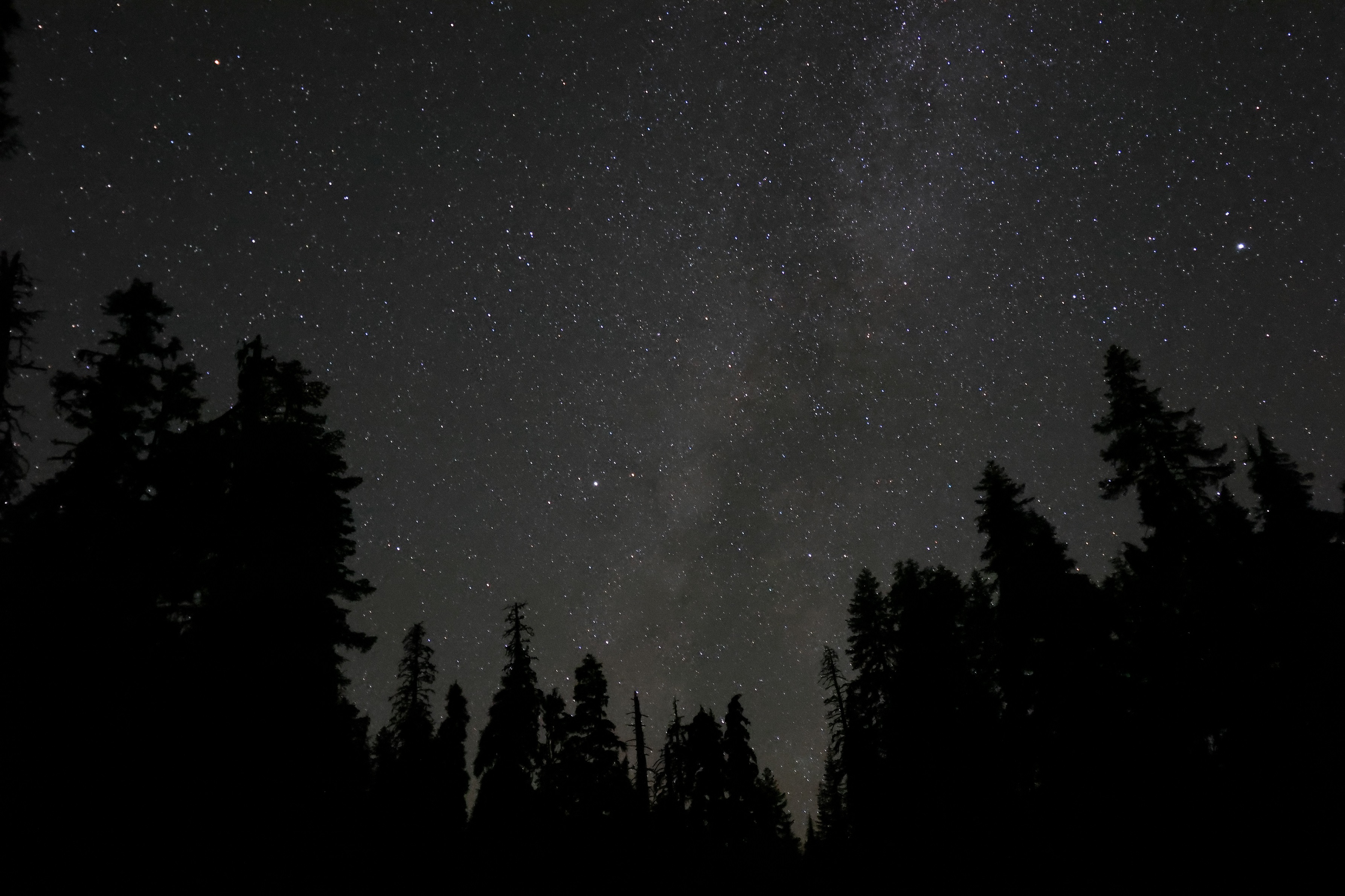 oregon-caves-dark-skys-park