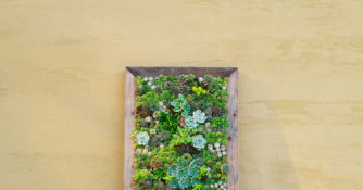 DIY succulent wall planter