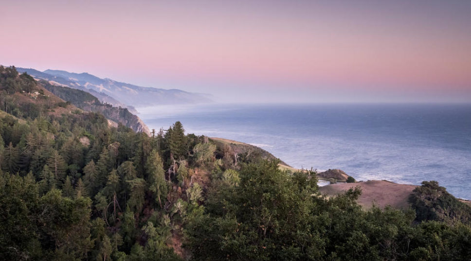 Big Sur's Revival