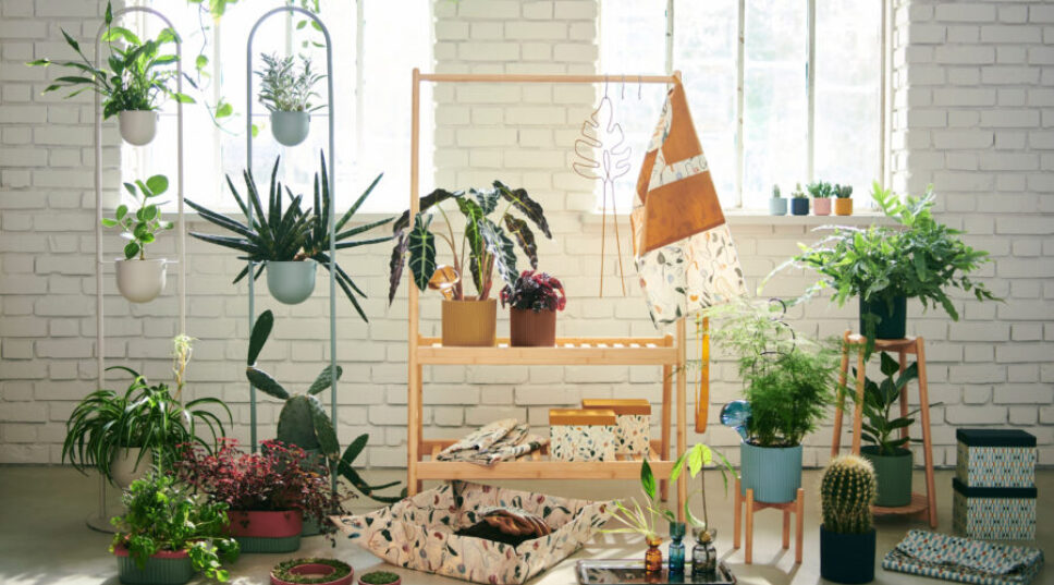 IKEA's Newest Collection Is a Goldmine of Editor-Approved, Affordable Garden Gear