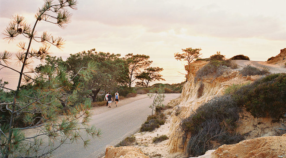 It's love in La Jolla