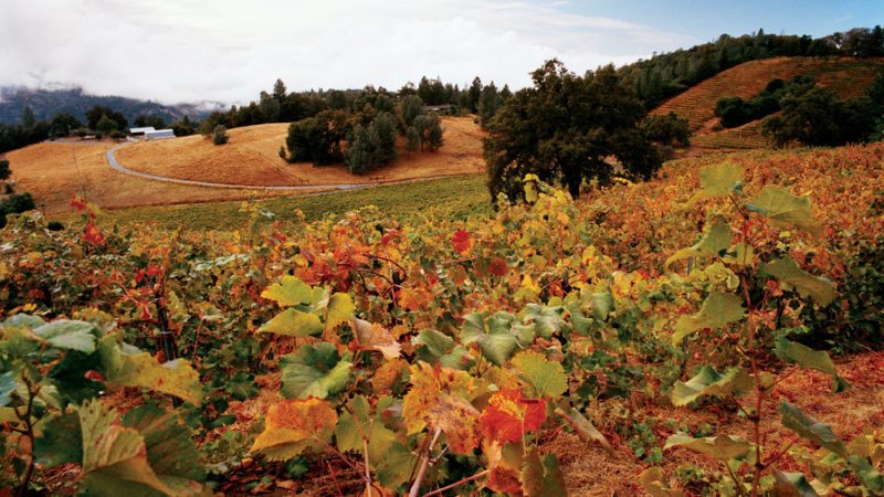 Great fall trips in California - Sunset Magazine