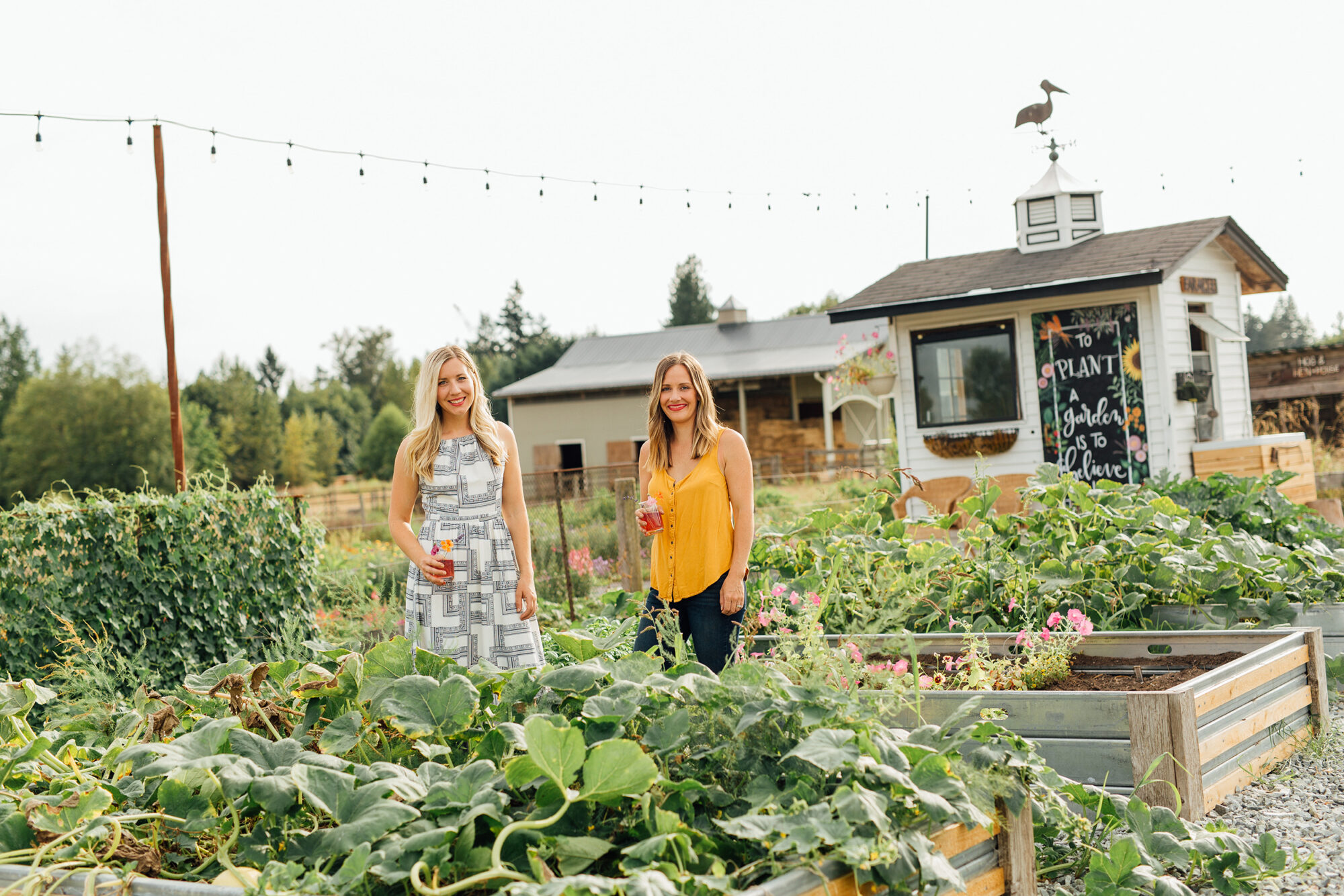 ミュージシャン HERB GARDEN How to Grow a Cocktail Garden – Sunset Magazine