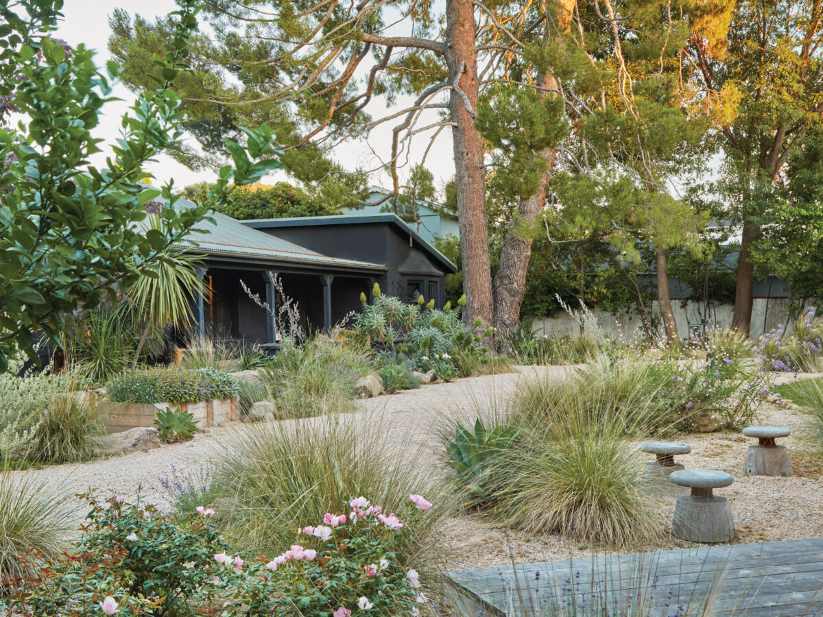 Drought Tolerant Garden Owned by Kirsten Dunst
