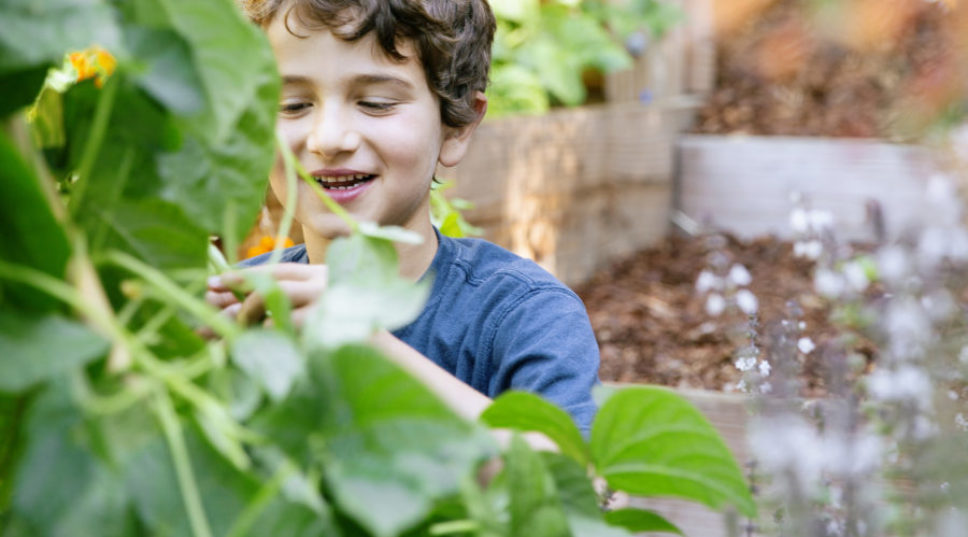 10 Ways to Get Kids Involved in Gardening