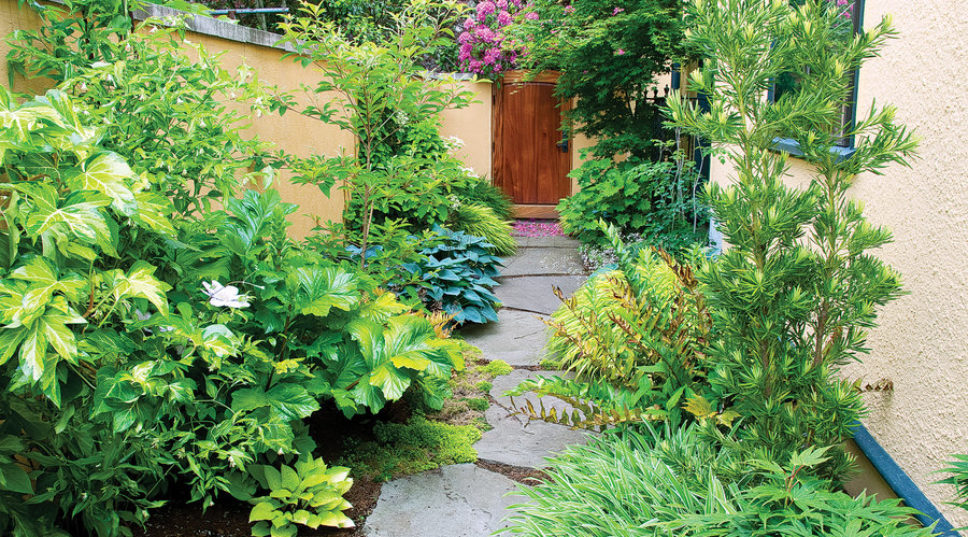 12 Simple Ideas to Re-Invent Your Side Yard