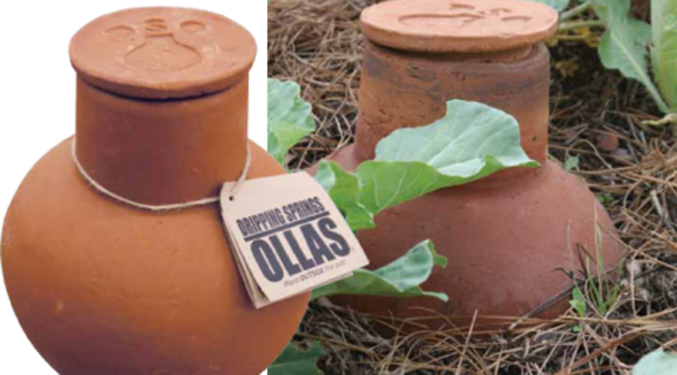 Save Water: Use An Olla