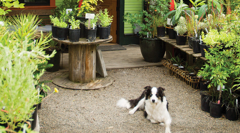 Day Trip: Portland Gardening at Its Best