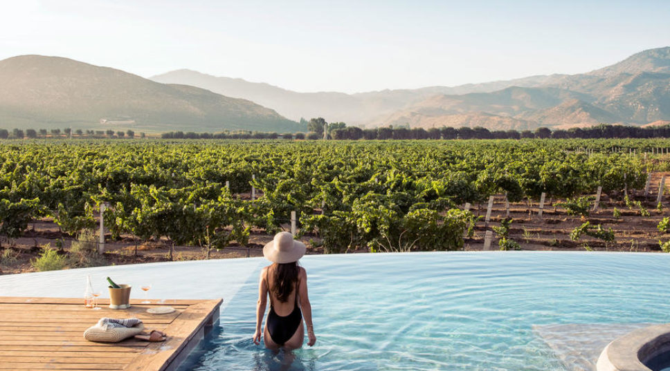 A Wine Tasting Trip Through Valle de Guadalupe, Baja California