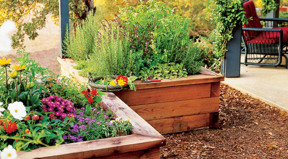 Raised-Box Herb Garden