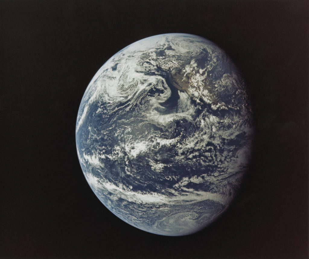 Pet Beds, Fruit Picking, and Sweet Discoveries: How We're Observing Earth Day - Vimarsana News