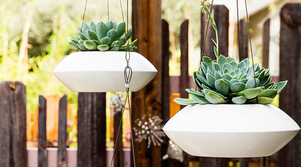 10 Ways to Make a Statement with Hanging Plants