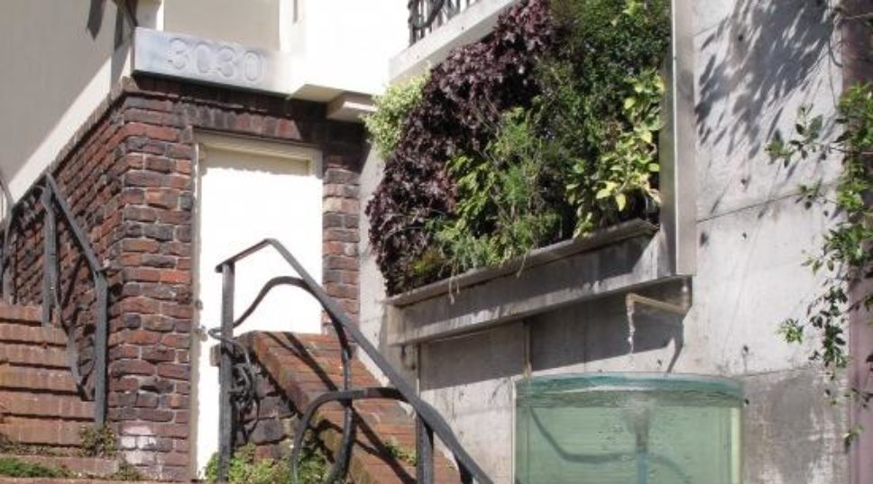 Avant garde-ning in San Francisco