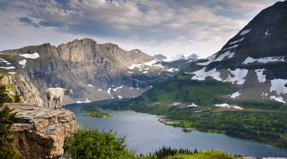 Please Don't Treat National Parks Like a Garbage Can, Says Glacier National Park