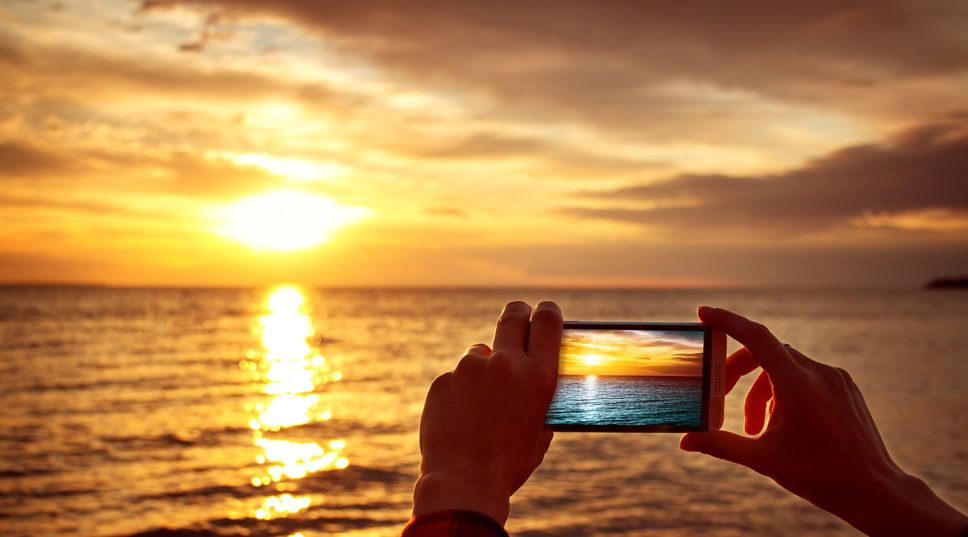 This Is Very Possibly the Best Internship Ever