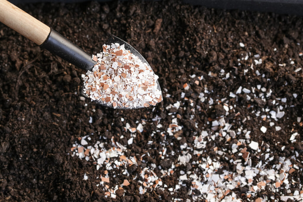 Eggshell Soil Fertilizer