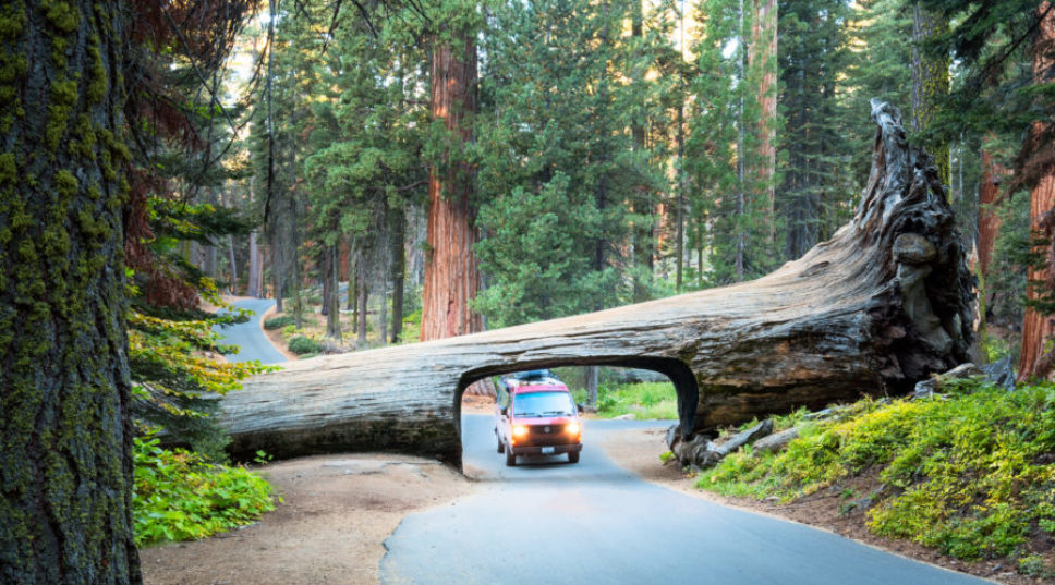 Sequoia National Park Will Soon Have Cell Service
