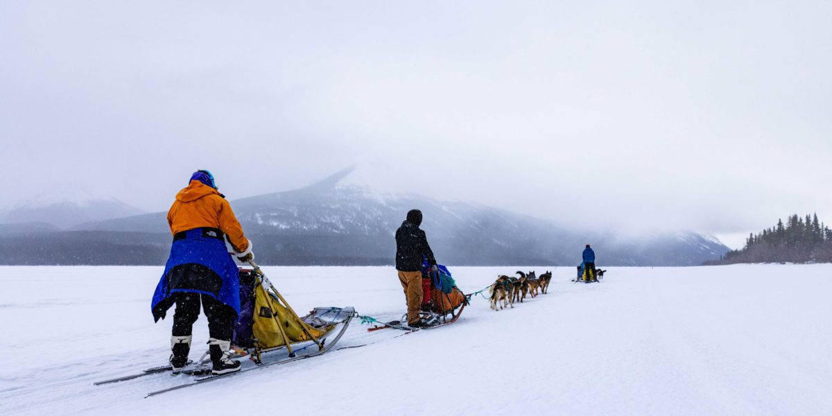 Sled Dogs on a Frozen Lake
