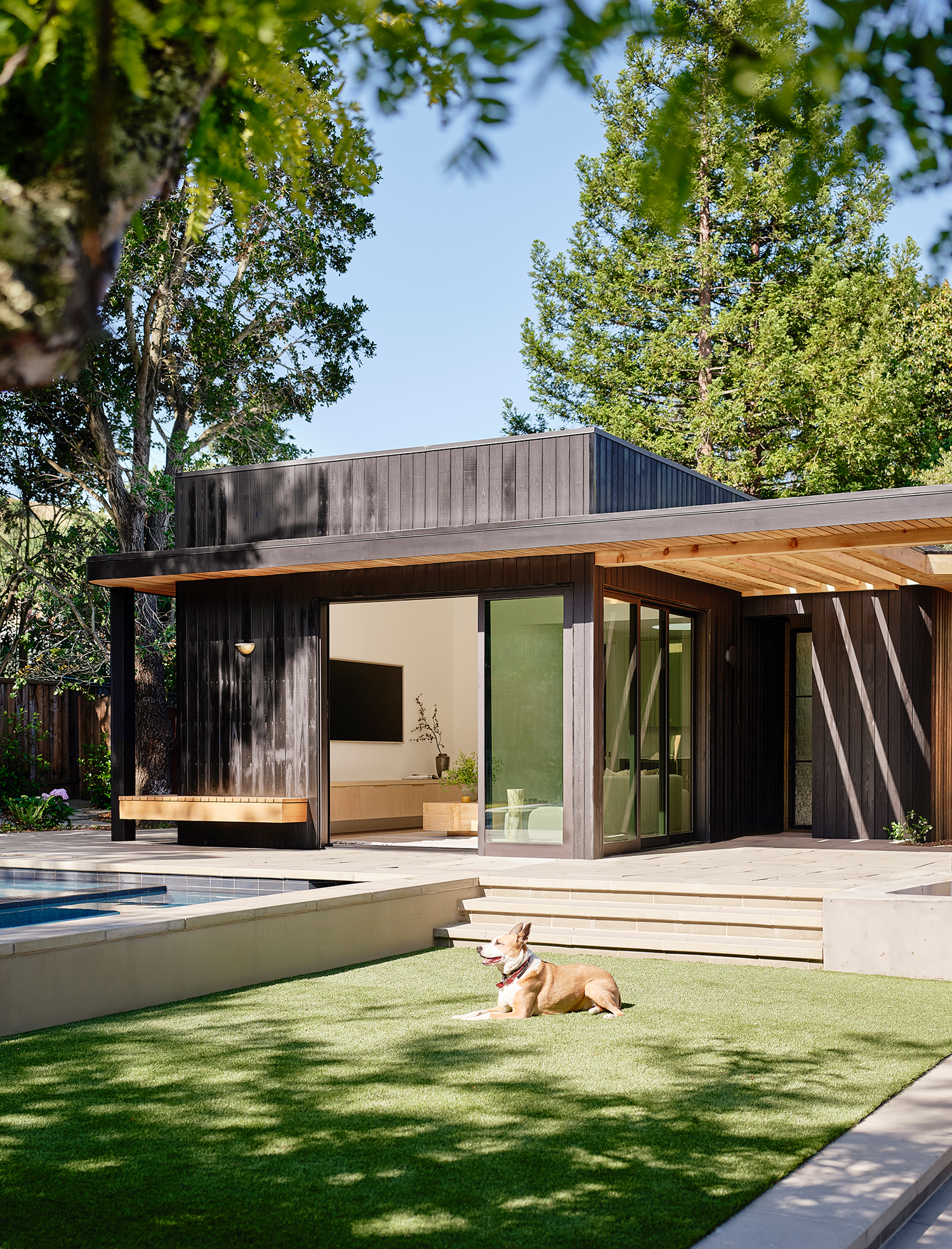 Exterior Yakisugi ADU by Mahya Salehi