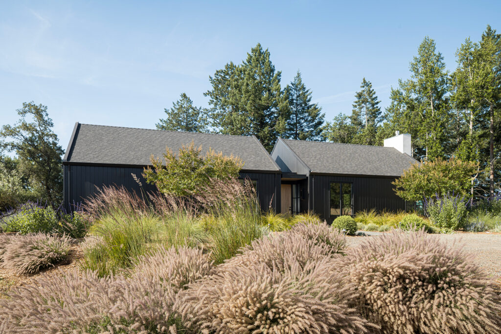 Exterior in Sonoma House by Lucy McLintic