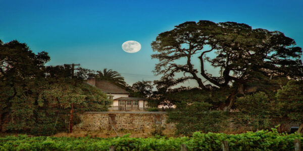 This Historic State Park Is Hosting Free Days This Month. Here’s How to Get Access.