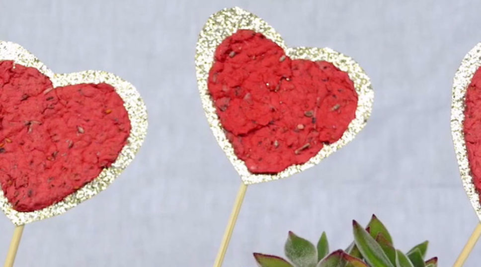 How to Make Seed Paper Hearts