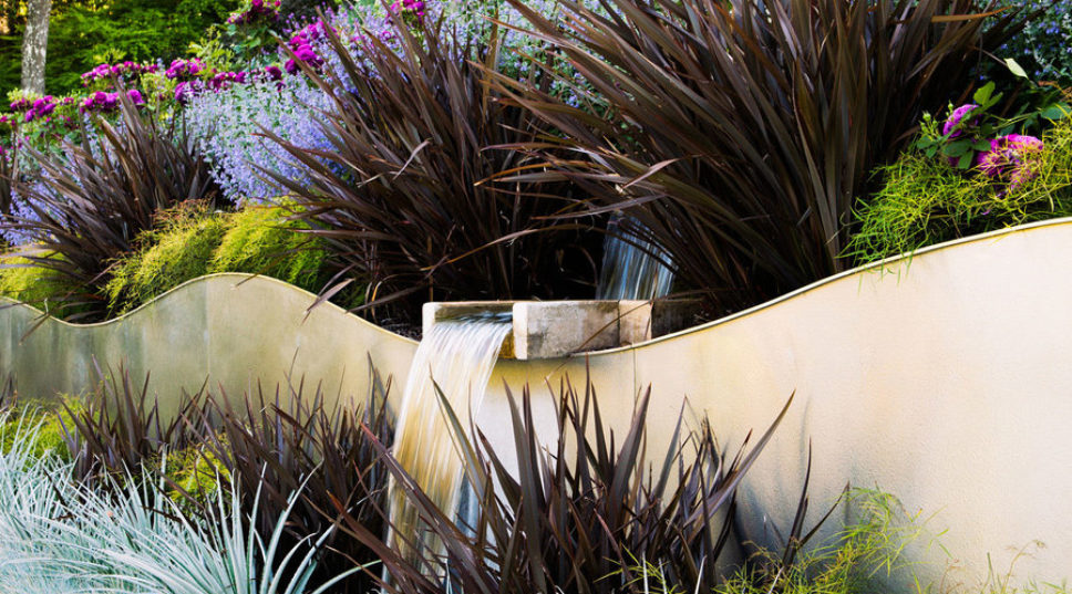 24 Surprising Plant Combos