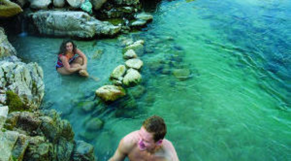 Idaho wildlife drive