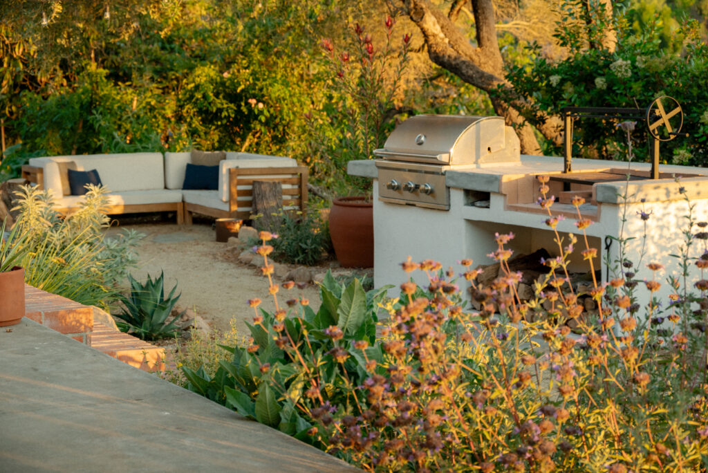 Think Like an Artist in Your Garden