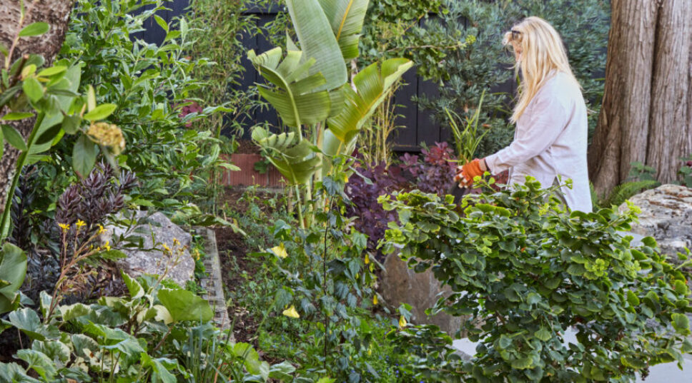 The 10 Best Landscape Projects to Tackle Before Fall Planting Season