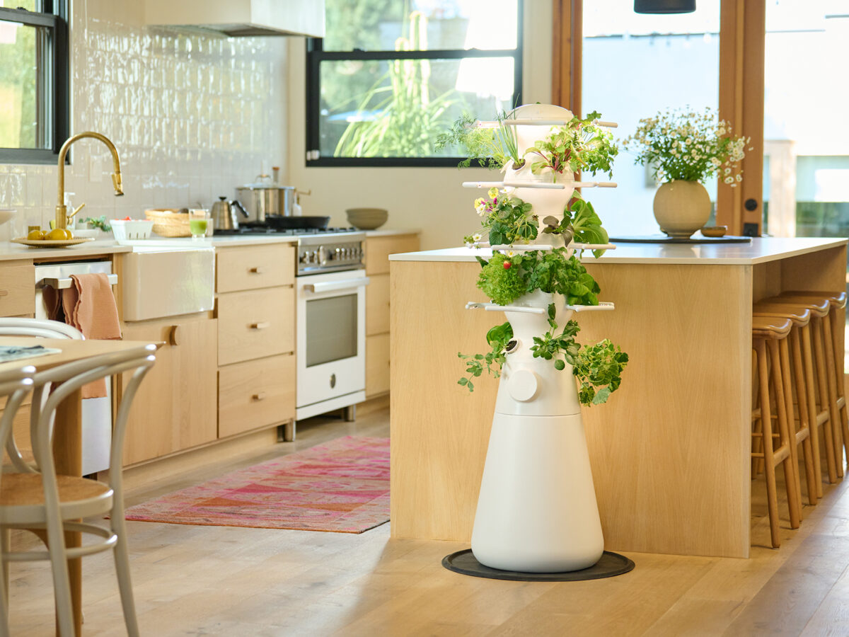 Lettuce Grow Nook