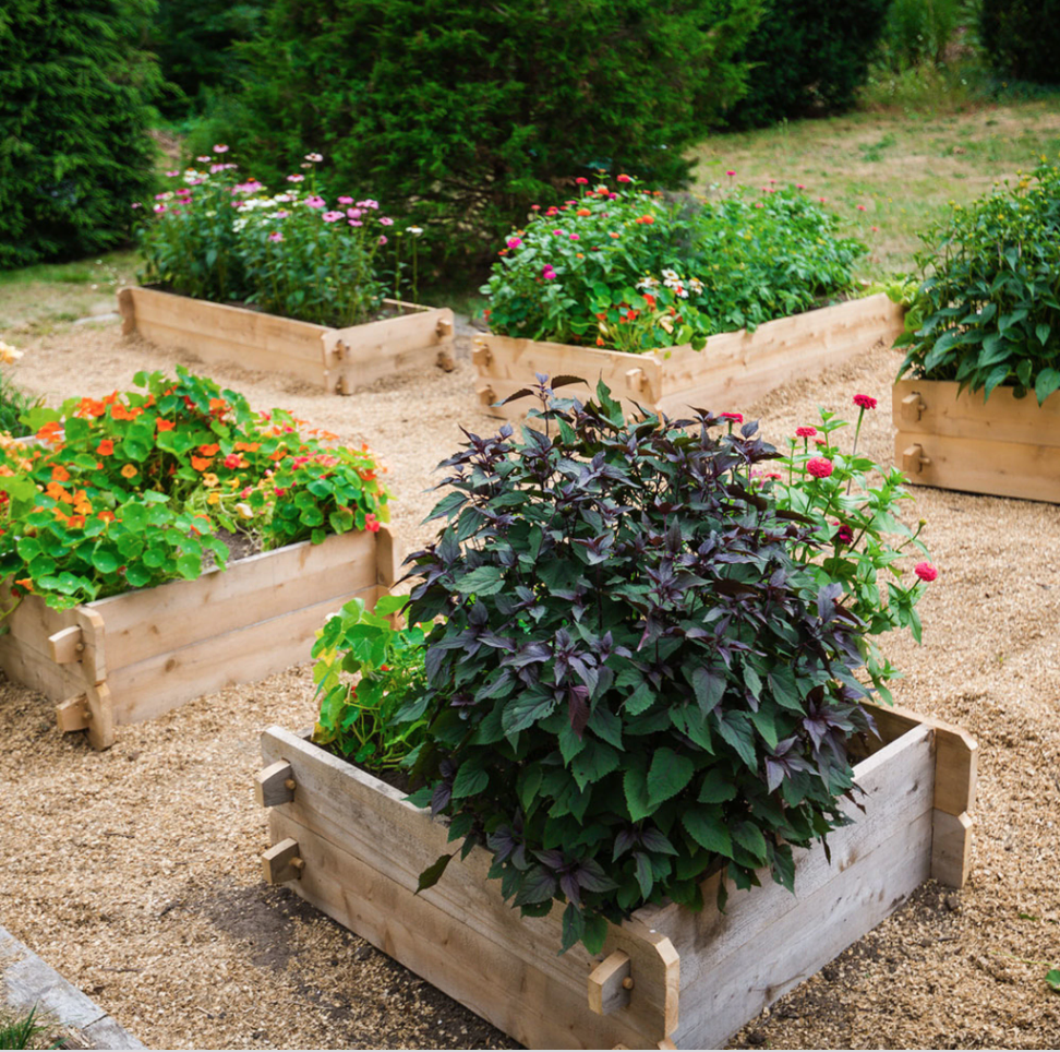 farmstead raised bed