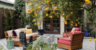 An orange tree hangs over two square, raw concrete fire pits