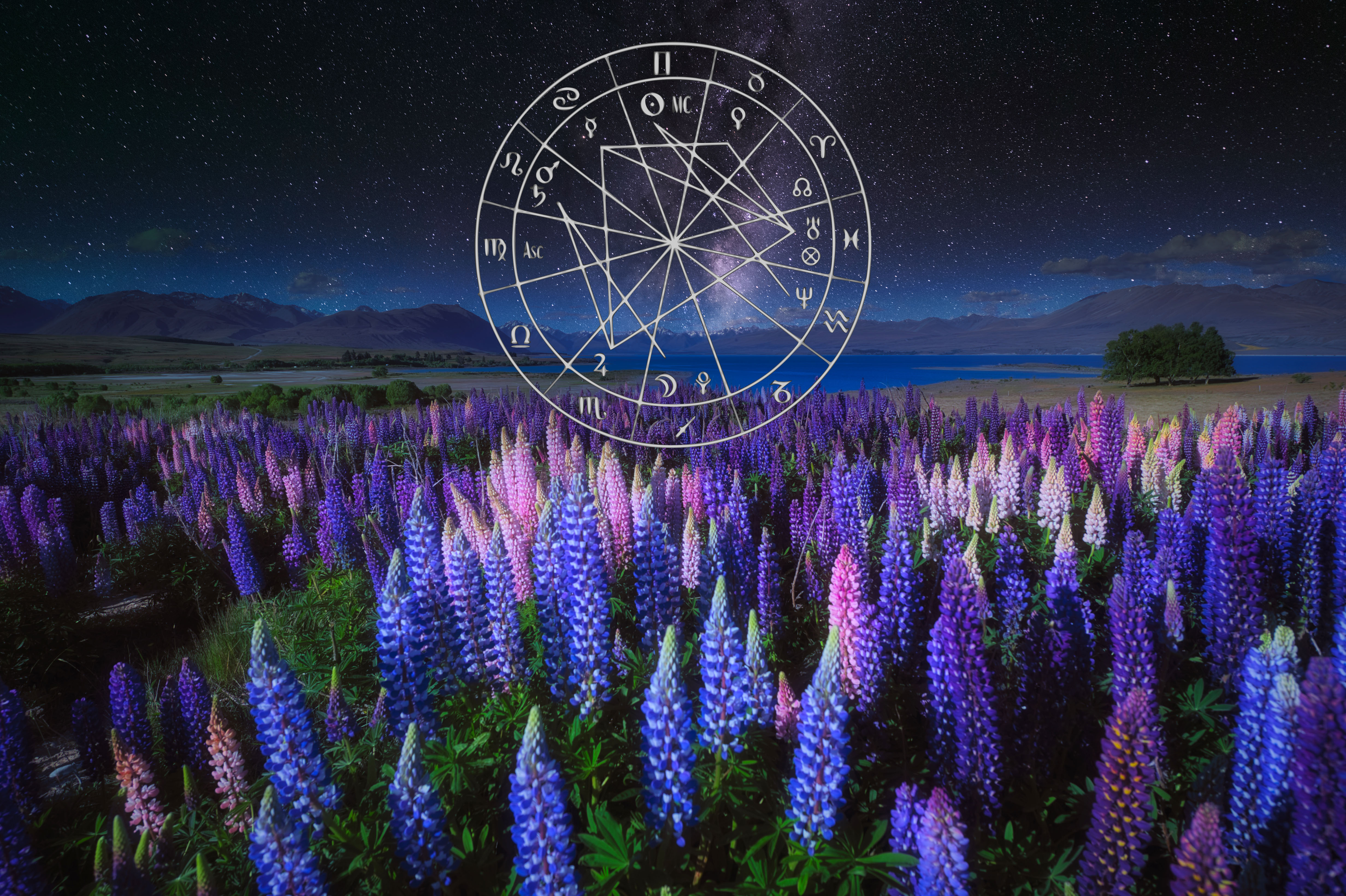 purple star astrology