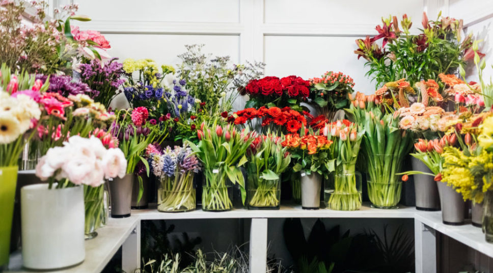The 2023 Flower of the Year Is a Stunner That You Can Easily Find—Even at Your Local Trader Joe’s