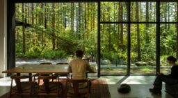 Forest Pavilion Forest View