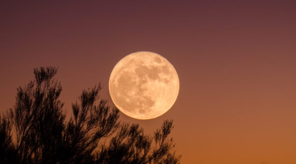 Don’t Miss Tonight’s Pink Supermoon