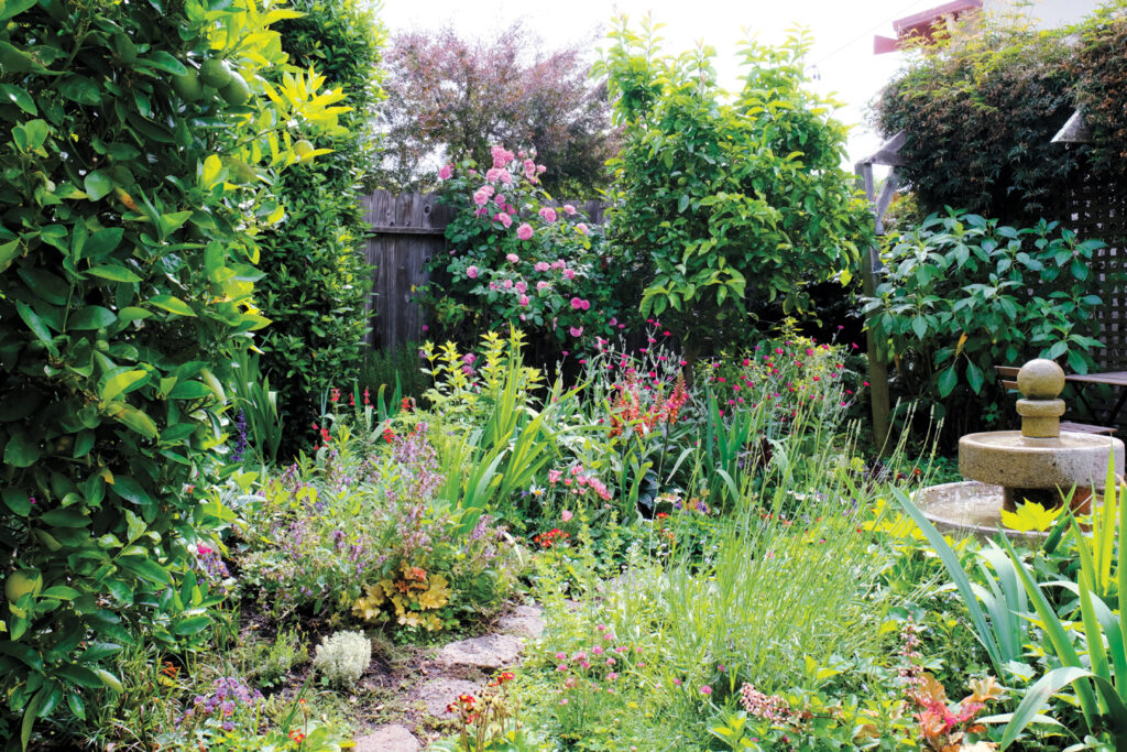 Garden Flowers