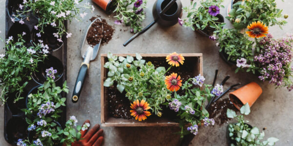These Apps Will Help You Become a Better Gardener