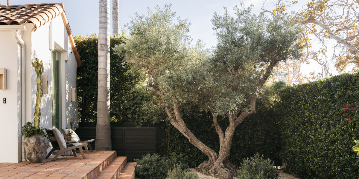 Gravel Floors in Melrose Backyard