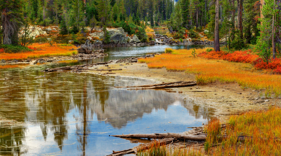 Mountains, forests, and autumn colors reflected in small peaceful outlet of Alice Lake in Sawtooth Wilderness on one of the great fall hikes near Stanley, Idaho