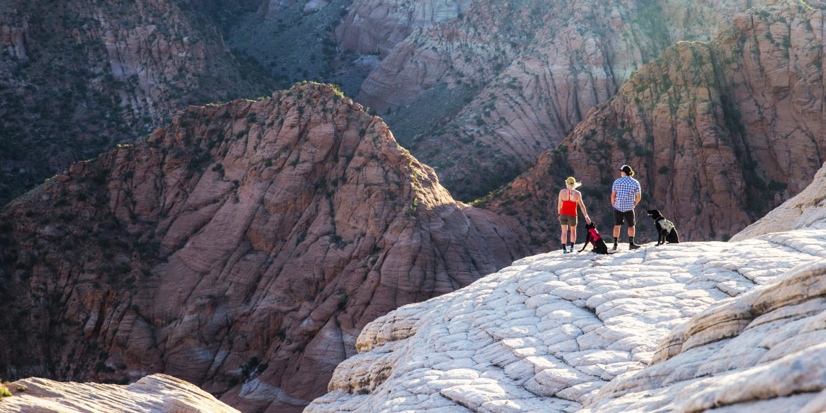 Hiking couple and dogs at Zion National Park, courtesy of Greater Zion Convention & Tourism Office