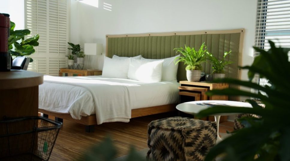 This Hotel Lets You Live out Your Houseplant Dreams