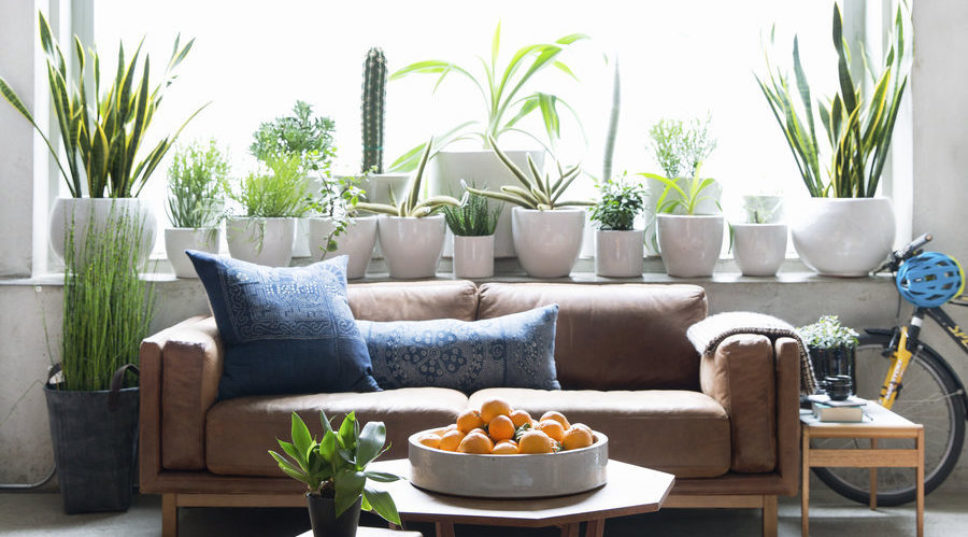 15 Indoor Plant Stands to Amp up Your Decor