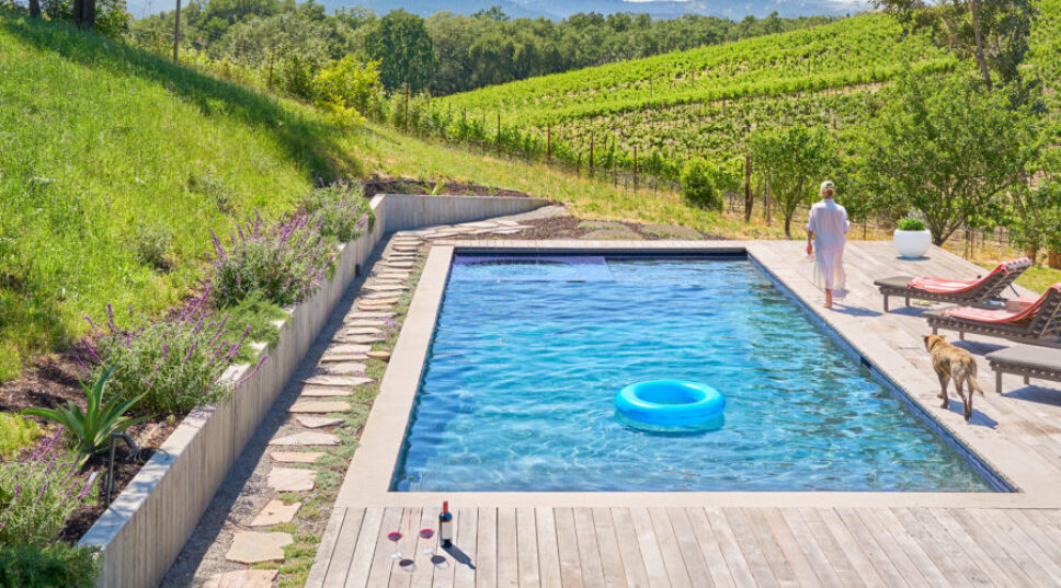 Everything You Need to Know About Wine Country—Read Our 2025 Wine Issue