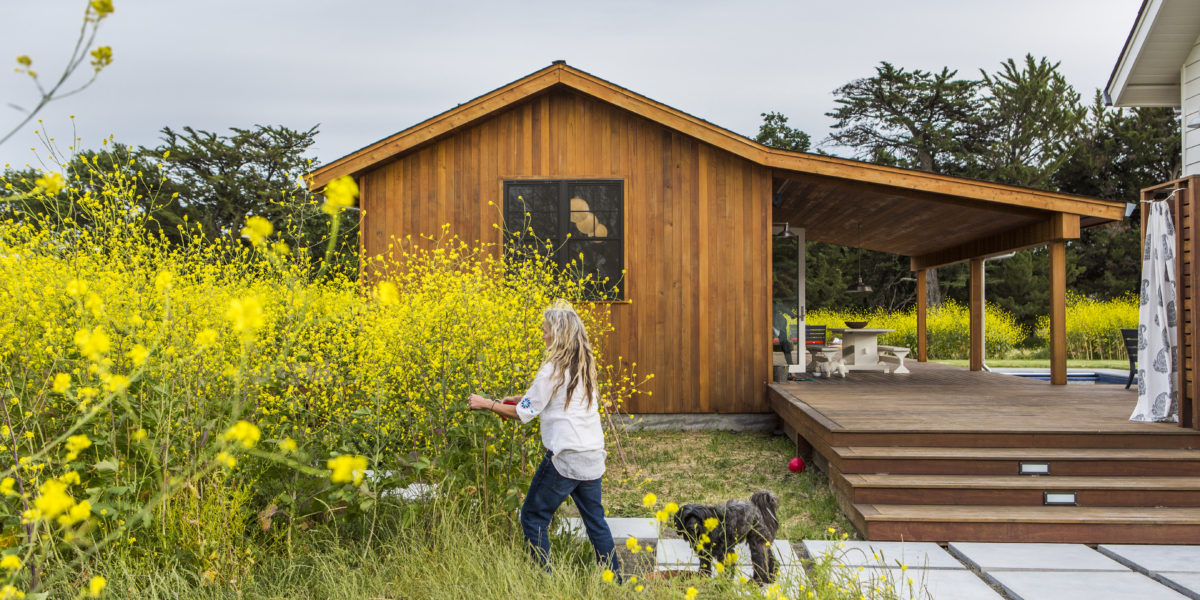 gustave-carlson-sonoma-country-house-wild-mustard