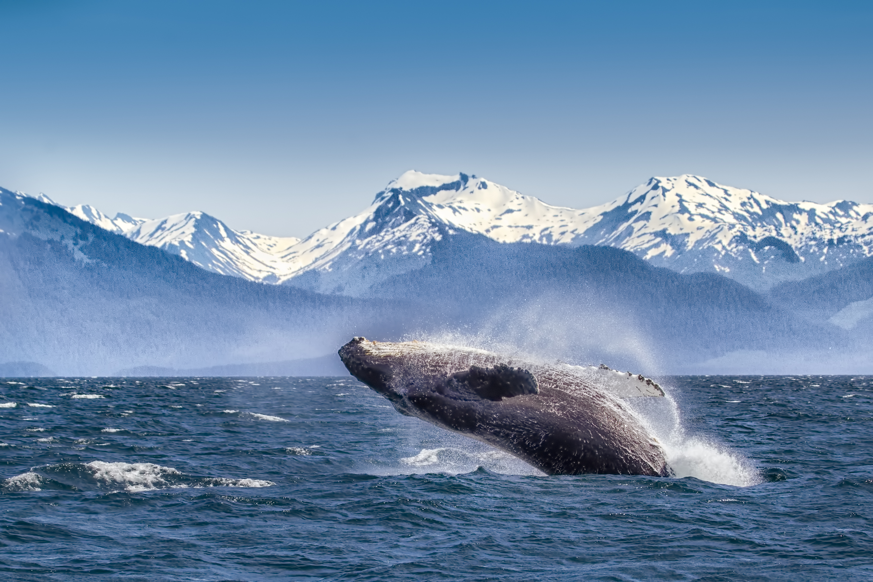 Glacier Bay National Park, AK