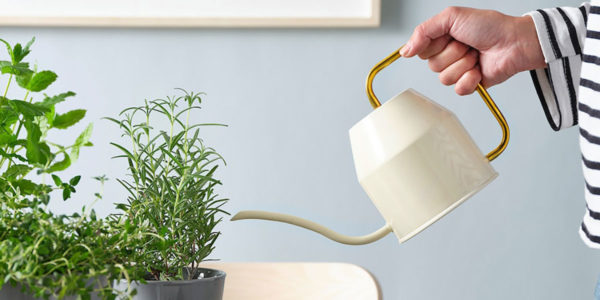 IKEA Makes the Most Beautiful Watering Can (And It’s Only $15)