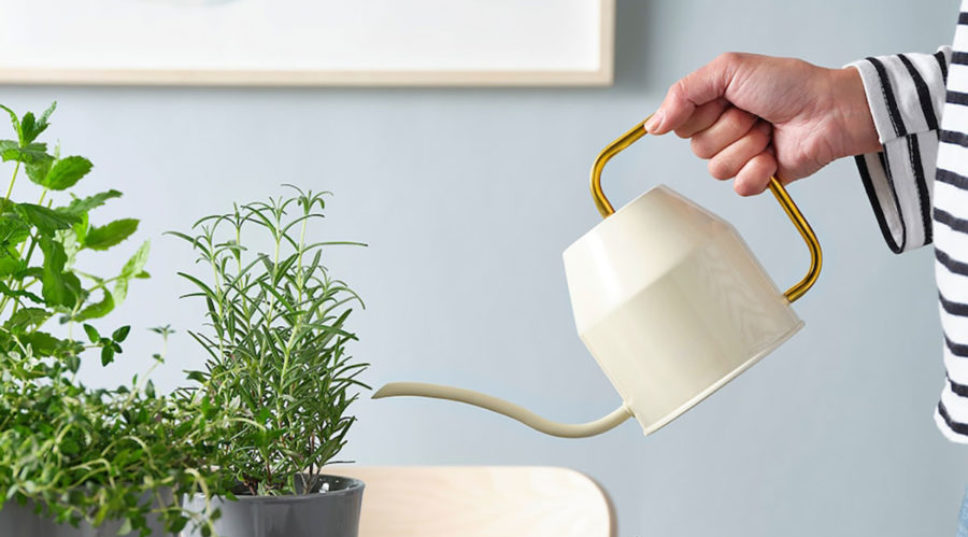 IKEA Makes the Most Beautiful Watering Can (And It's Only $15)