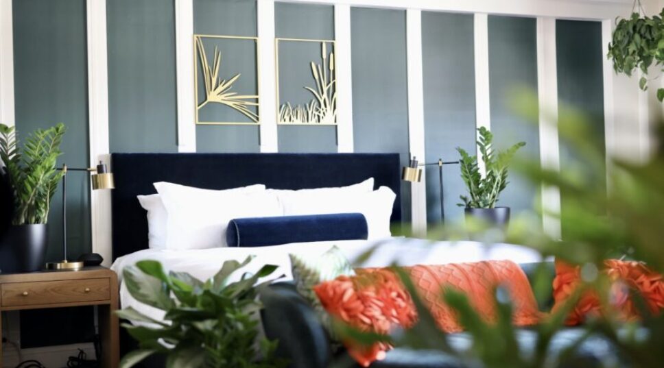 Plant Rental is the Most Anxiety-Reducing, Mood-Boosting Hotel Amenity We’ve Ever Seen